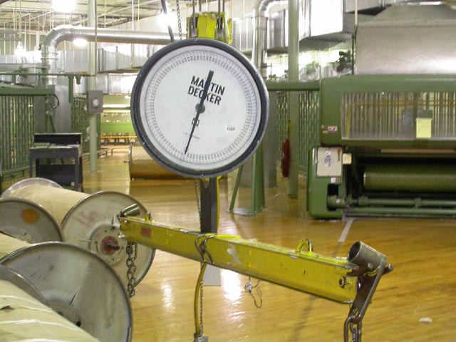 scale on hoist